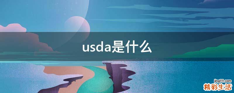 usda是什么