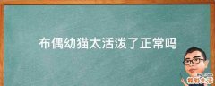 布偶幼猫太活泼了正常吗