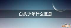 白头少年什么意思