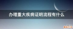 办理重大疾病证明流程有什么