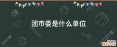 团市委是什么单位