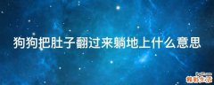 狗狗把肚子翻过来躺地上什么意思