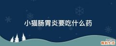 小猫肠胃炎要吃什么药