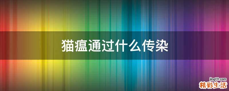 猫瘟通过什么传染