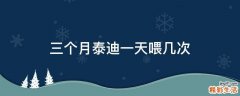 三个月泰迪一天喂几次