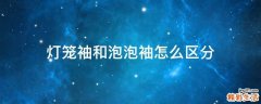 灯笼袖和泡泡袖怎么区分