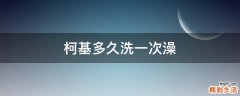 柯基多久洗一次澡