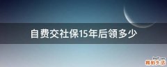 自费交社保15年后领多少