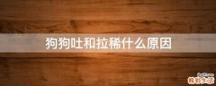 狗狗吐和拉稀什么原因