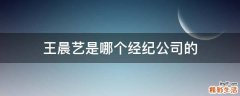 王晨艺是哪个经纪公司的