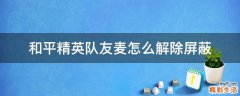和平精英队友麦怎么解除屏蔽