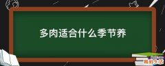 多肉适合什么季节养