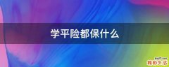 学平险都保什么