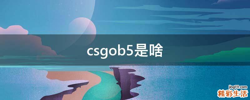 csgob5是啥