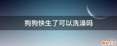 狗狗快生了可以洗澡吗