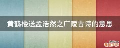 黄鹤楼送孟浩然之广陵古诗的意思