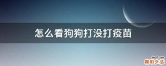 怎么看狗狗打没打疫苗