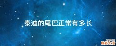 泰迪的尾巴正常有多长
