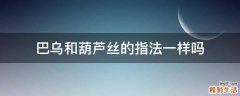 巴乌和葫芦丝的指法一样吗