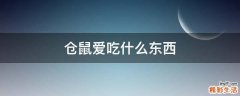 仓鼠爱吃什么东西