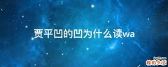 贾平凹的凹为什么读wa