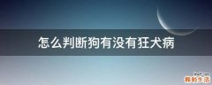 怎么判断狗有没有狂犬病