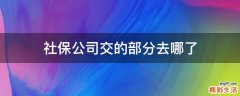 社保公司交的部分去哪了