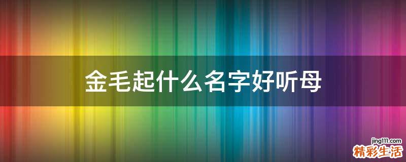 金毛起什么名字好听母