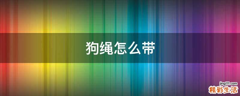 狗绳怎么带