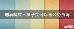 刑满释放人员子女可以考公务员吗