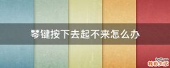 琴键按下去起不来怎么办