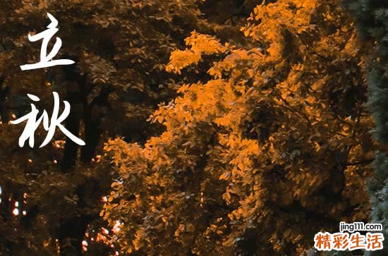 2023立秋是在几伏里面 立秋是不是就开始凉快了