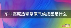 东非高原热带草原气候成因是什么