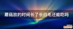 蘑菇放的时间长了长白毛还能吃吗