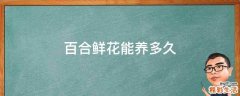 百合鲜花能养多久