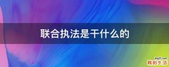 联合执法是干什么的