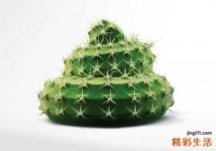 肛门湿疹和痔疮的区别