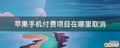 苹果手机付费项目在哪里取消