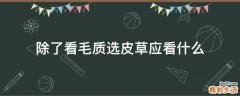 除了看毛质选皮草应看什么