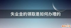 失业金的领取是如何办理的