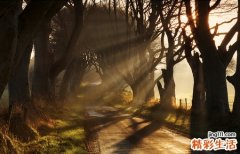 【如何有效让肌肤变白】7绝招让你不花钱就可以有效变白