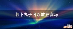 萝卜丸子可以放豆腐吗