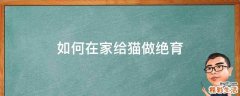如何在家给猫做绝育