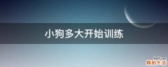 小狗多大开始训练