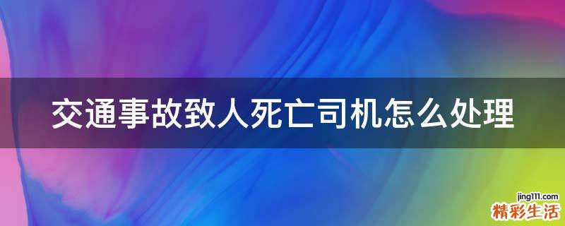 交通事故致人死亡司机怎么处理