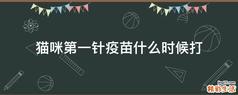 猫咪第一针疫苗什么时候打