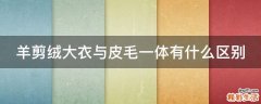 羊剪绒大衣与皮毛一体有什么区别