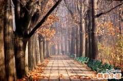 中医晨起养生必做七件事