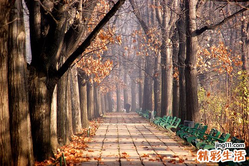 中医晨起养生必做七件事