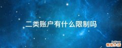 二类账户有什么限制吗